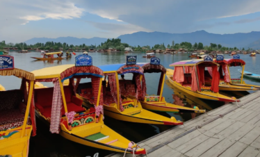 kashmir
