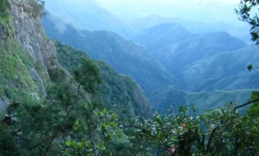 nature