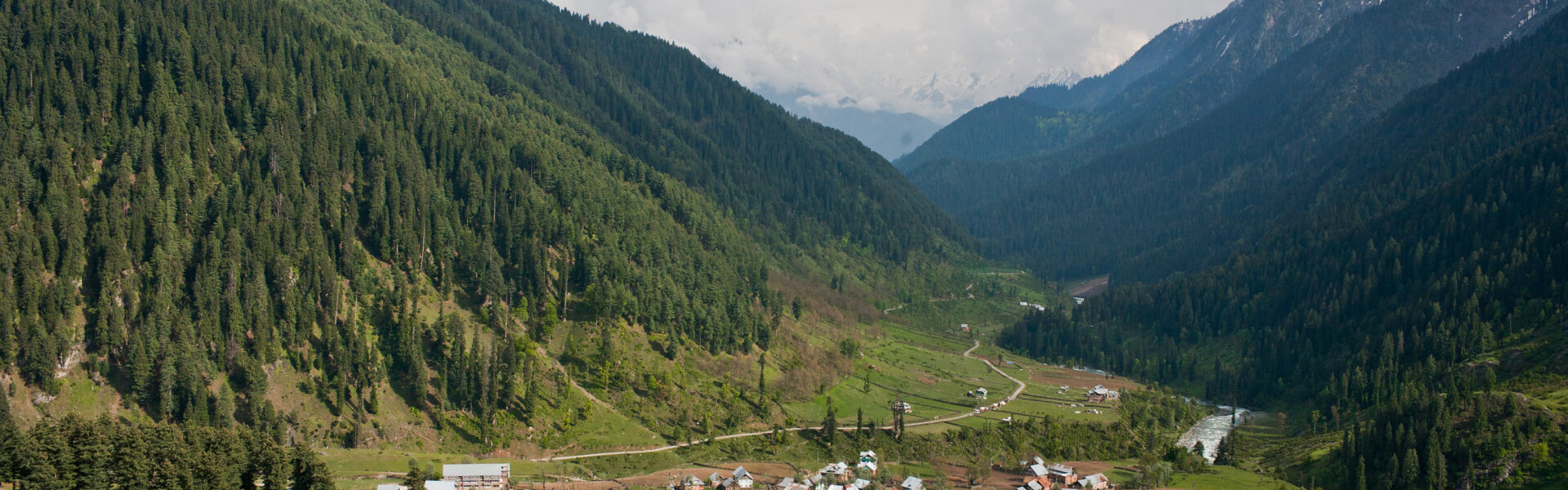 Kashmir