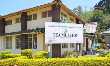 tea museum Munnar
