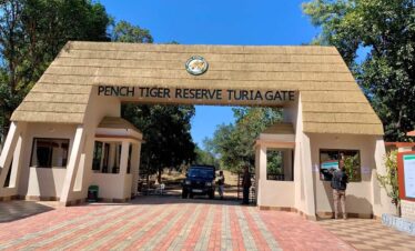 Pench