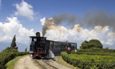 Darjeeling Toy Train