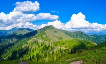 kashmir