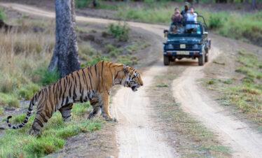 Kanha National Park
