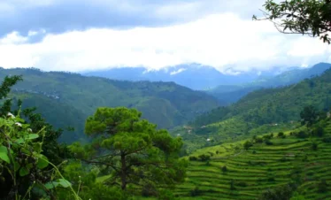 Ranikhet