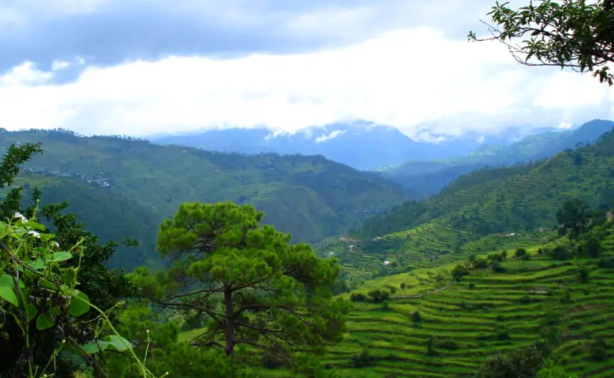 Ranikhet