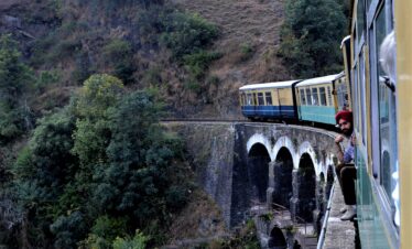 Shimla